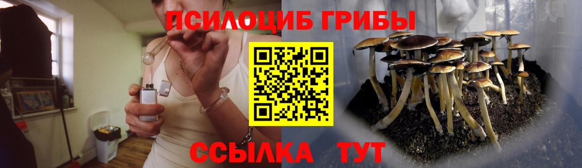 Псилоцибиновые грибы GOLDEN TEACHER Надым
