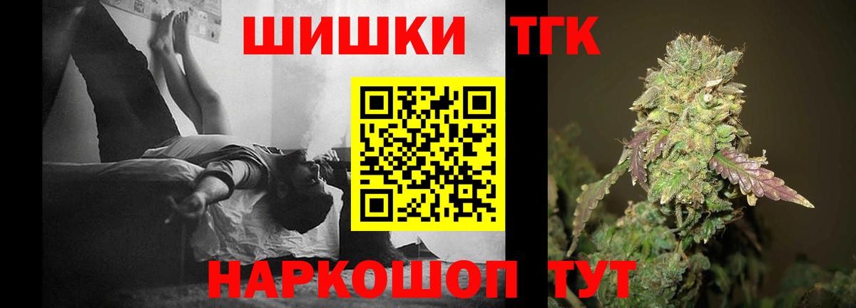 Бошки Шишки план Надым